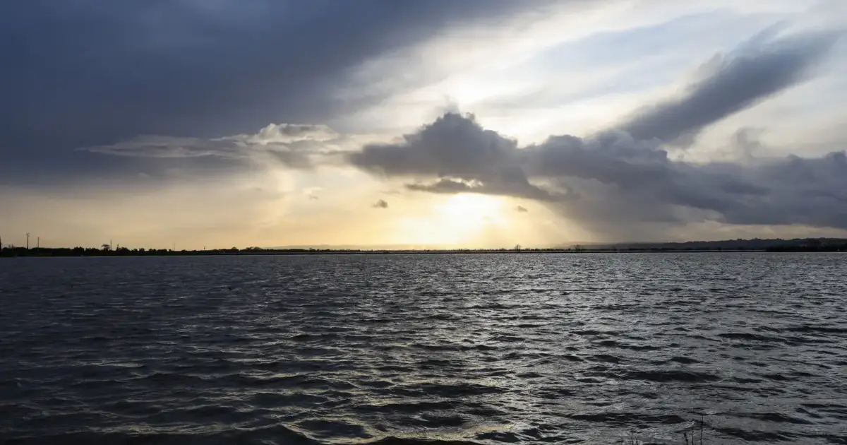 Captura de ouriços no Tejo proibida entre junho e outubro