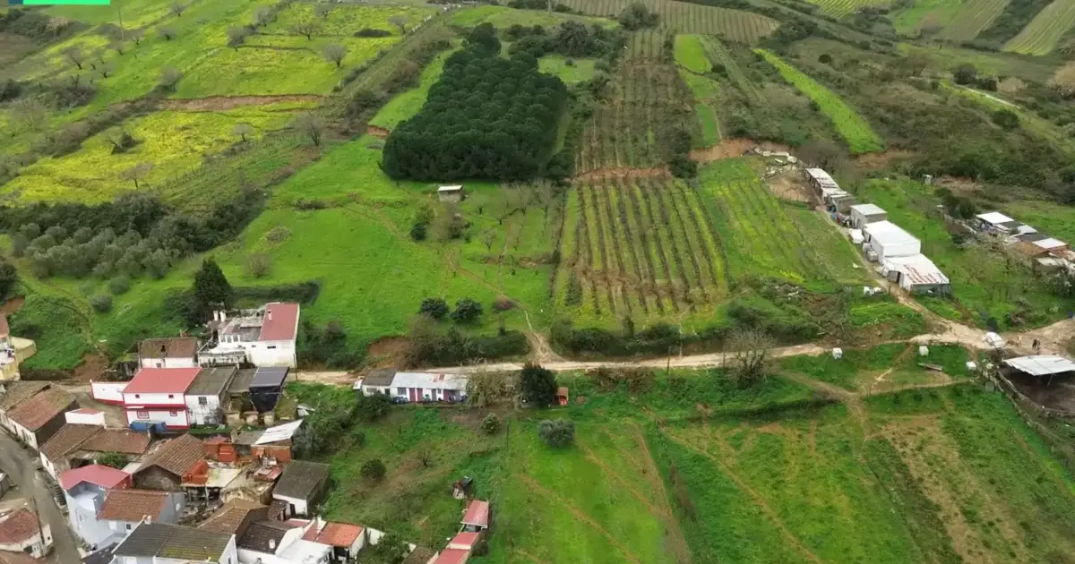 Município de Alenquer com 14 milhões de euros de prejuízos