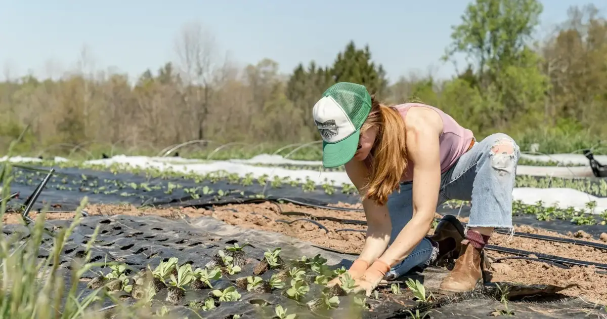 Governo diz que há mais 2.000 novos jovens agricultores instalados