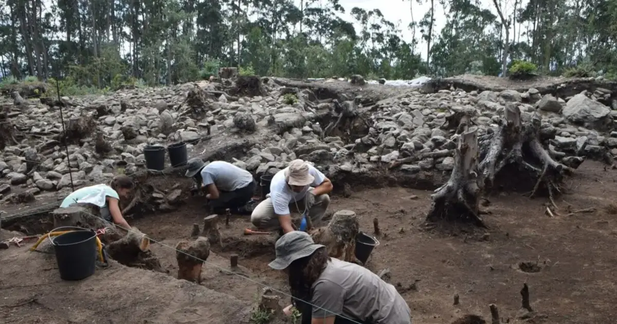 Com mais de 3.000 anos, Monte de São Julião, em Albergaria-a-Velha, está mais perto de ser património nacional