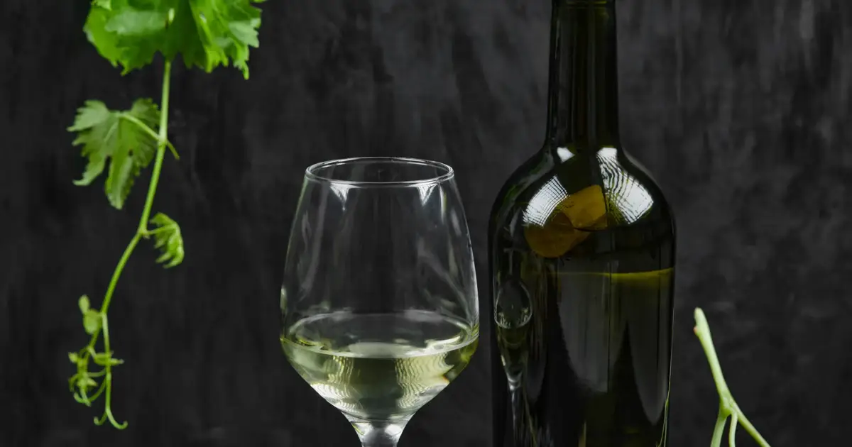 Comissão dos Vinhos Verdes lança coletivo de sustentabilidade para a região