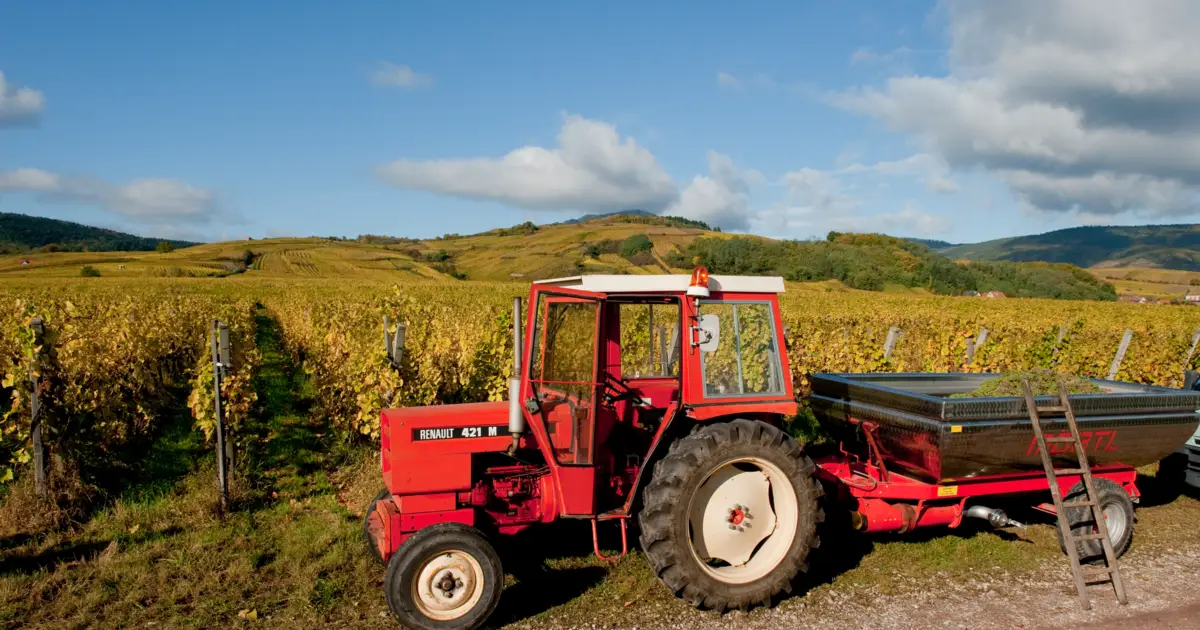 União Europeia aprova novas regras de proteção a produtores de vinho