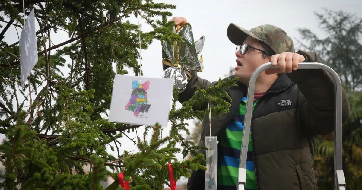 Esta árvore de Natal é decorada com desejos de crianças e jovens 10 dez. 2025, 10:29