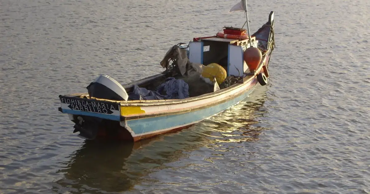 Lampreia volta ao Tejo mas pescadores querem prudência na recuperação