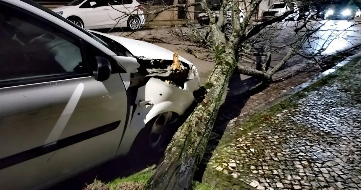 Coimbra e Montemor-o-Velho alertam para cheias durante a madrugada
