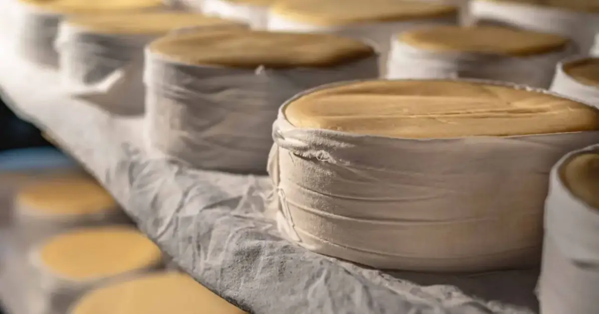 Feira do queijo regressa a Gouveia este fim de semana