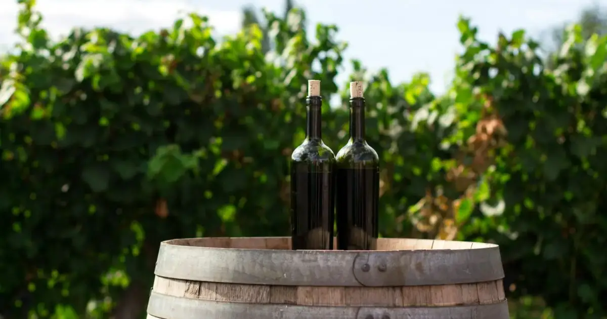 Alentejo aposta na internacionalização para duplicar exportações de vinho até 20... 7 jan. 2026, 19:35