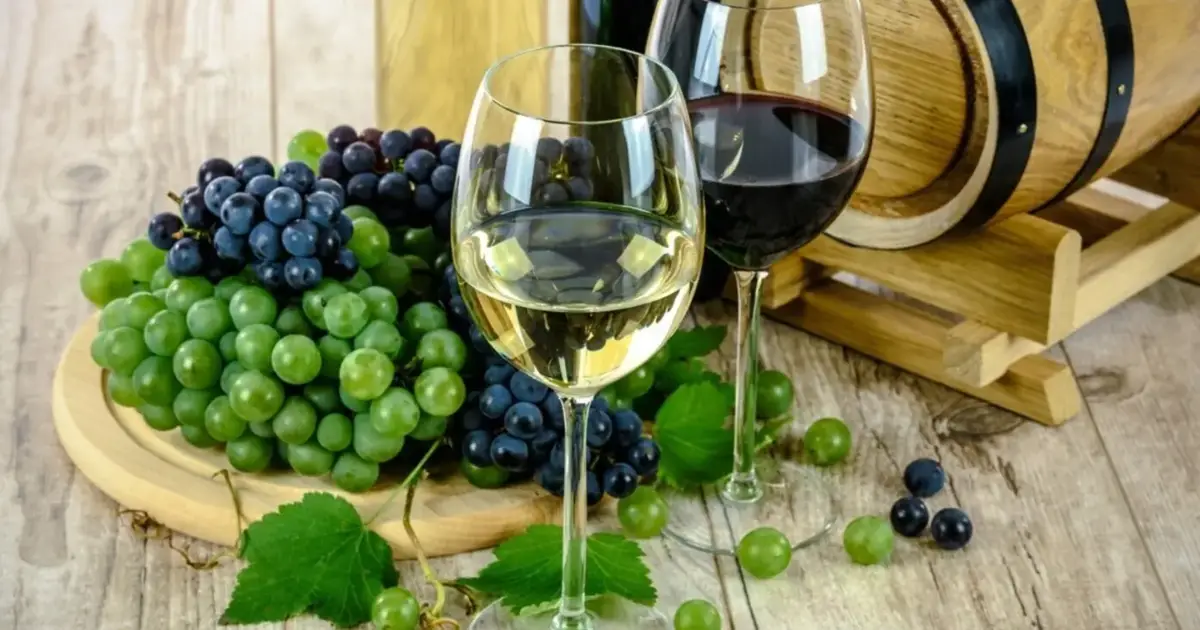 Essência do Vinho regressa ao Porto com 4 mil vinhos e 400 produtores