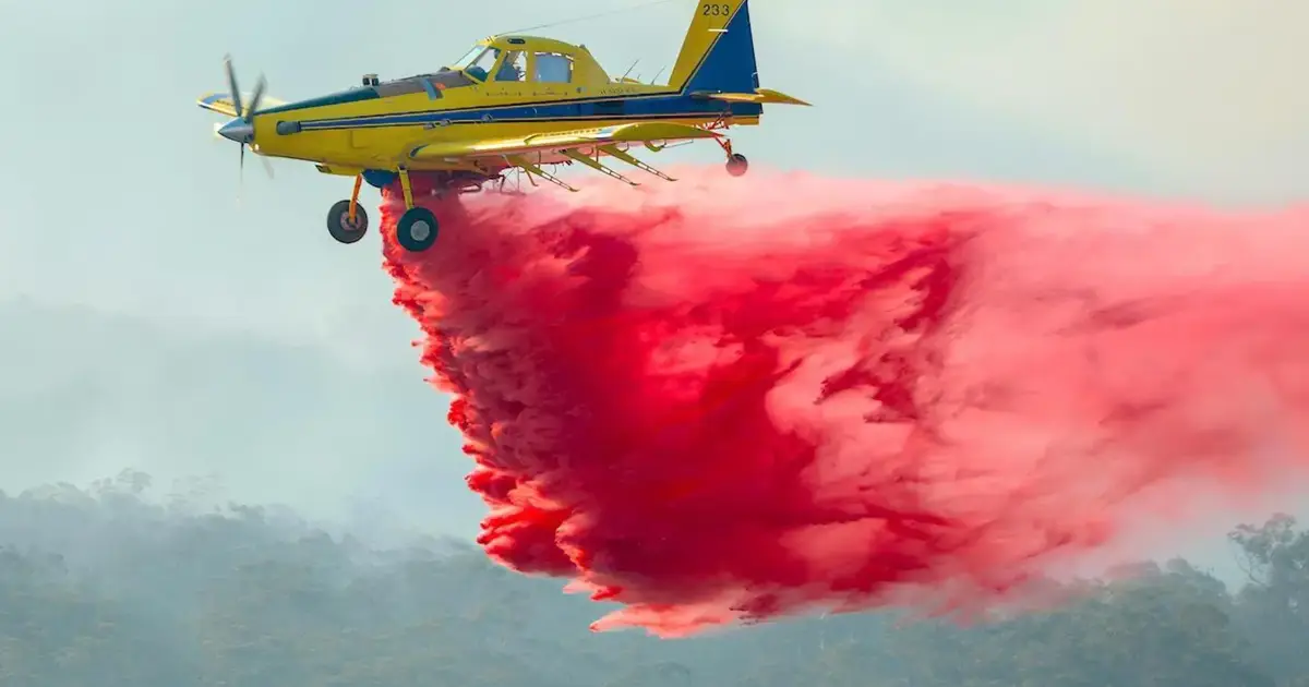 Proteção Civil reforça aposta em aeronaves com retardante de fogo no combate aos incêndios