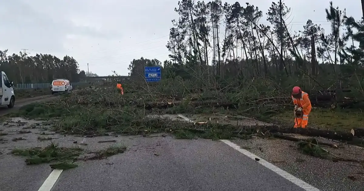 Zonas afetadas pelo mau tempo ficam isentas de portagens