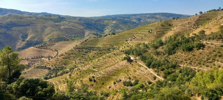 Aniversário do Douro Património Mundial celebrado em "espetáculo inédito" 9 dez. 2025, 19:00