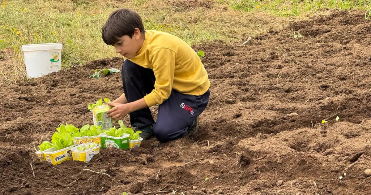 Duarte Sanches trocou brinquedos por sementes e colheu o prémio de jovem agricultor