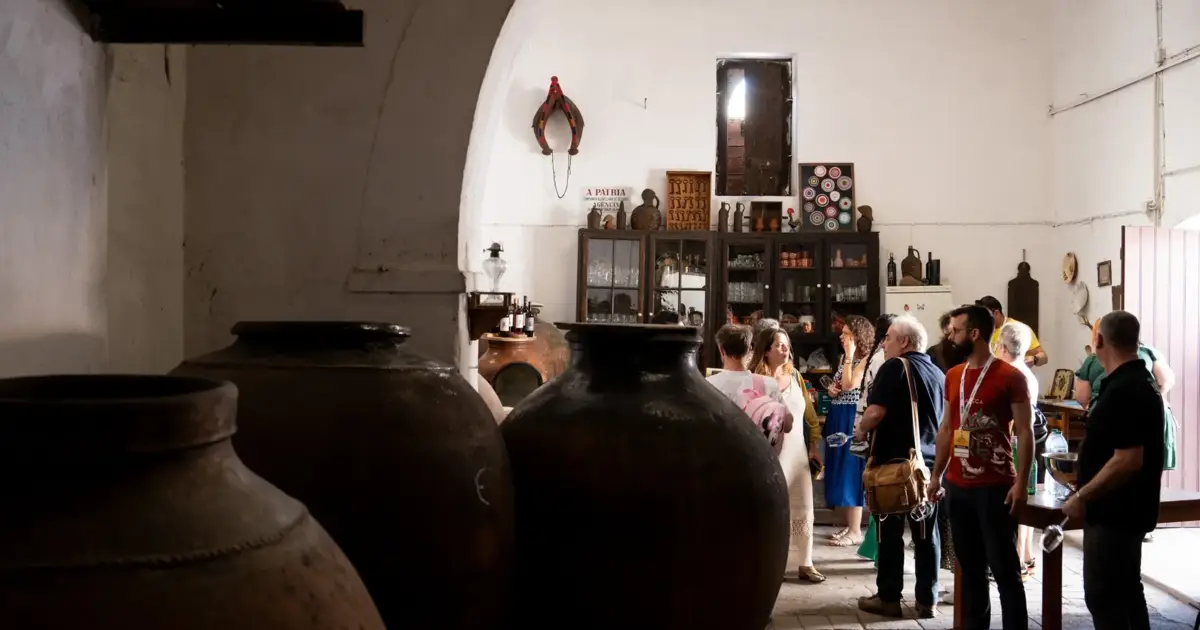 Vila Alva volta a brindar ao Alentejo: Vinho na Vila regressa este sábado com ma... 8 mai. 2026, 08:00