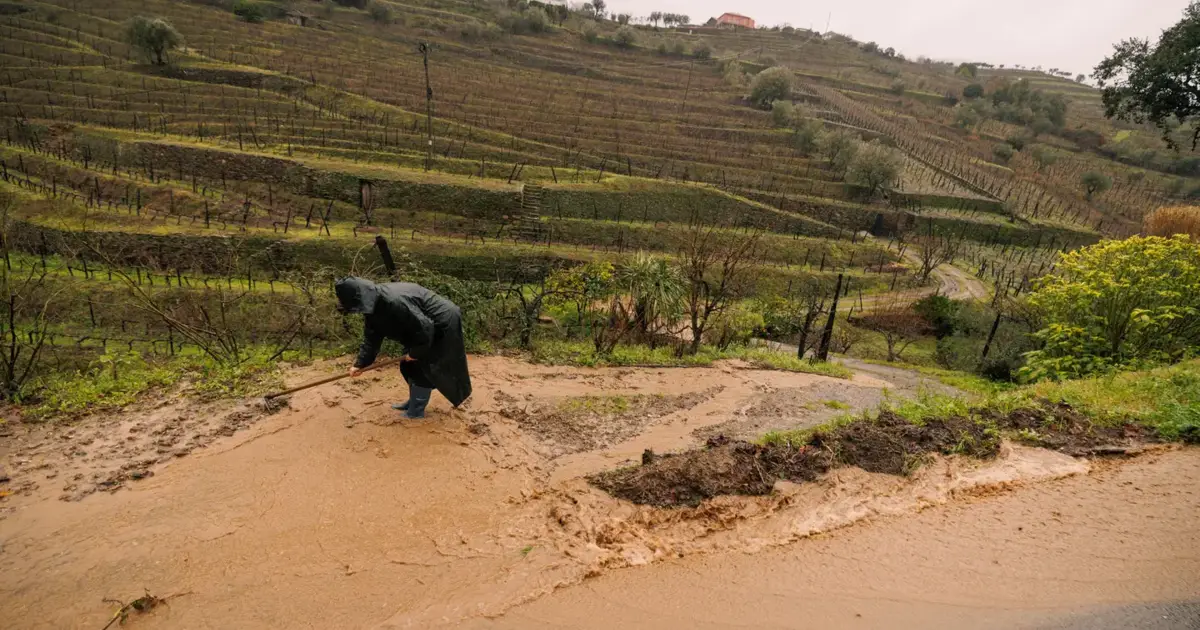 Mesão Frio com 3 milhões de euros de prejuízos, em estradas e vinhas