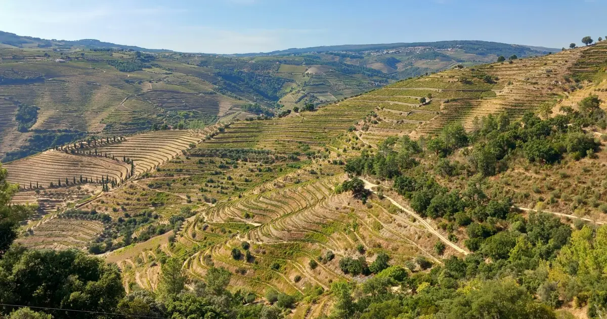 Aniversário do Douro Património Mundial celebrado em “espetáculo inédito”