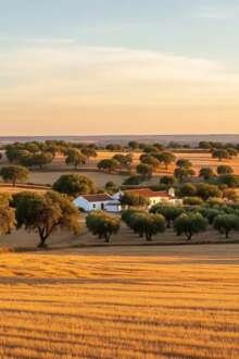 Financial Times rende-se ao Alentejo: uma "revelação" no mapa global do turismo ... 27 mar. 2026, 09:44