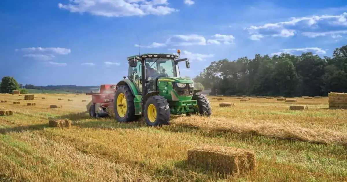 Mau tempo: CNA denuncia “demoras e insuficiências” nos apoios aos agricultores