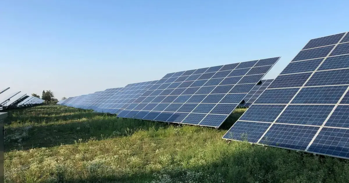 Arouca contra nova central fotovoltaica por risco de “prejuízos relevantes”