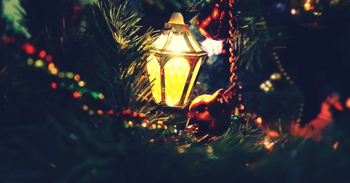 ‘Terra Natal’ de Figueira de Castelo Rodrigo abre em dezembro