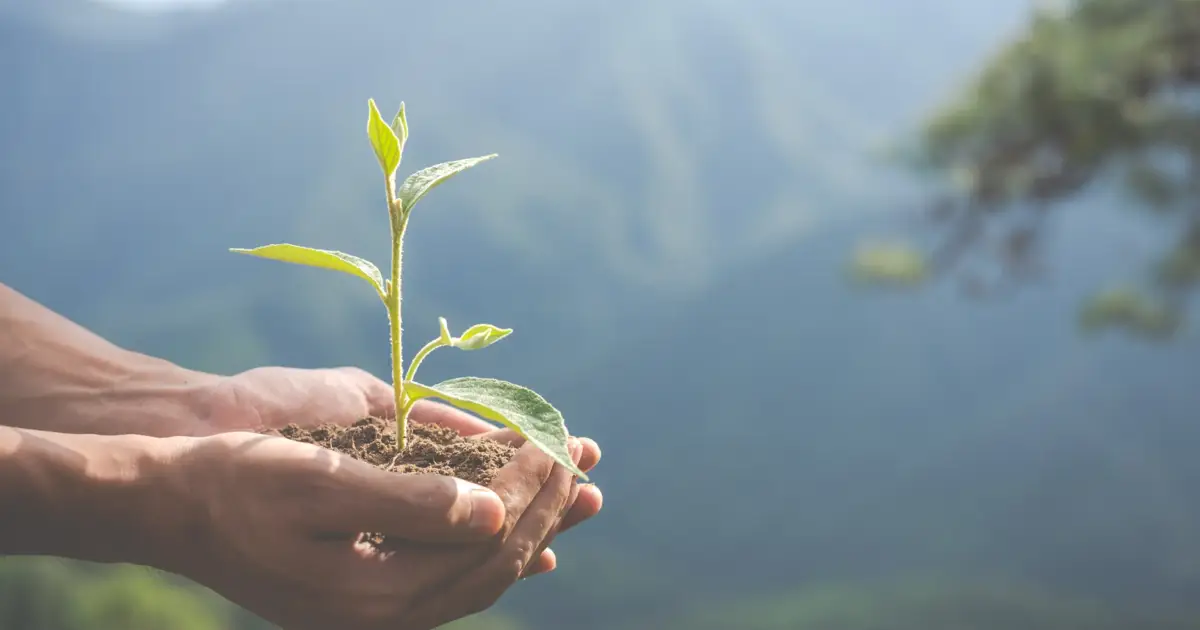 Campo Maior com plano de ação climática com 41 medidas em consulta pública