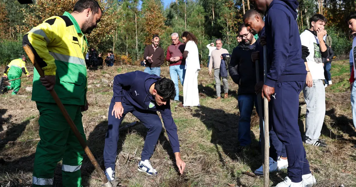 Ação de reflorestação planta 500 carvalhos em Vouzela