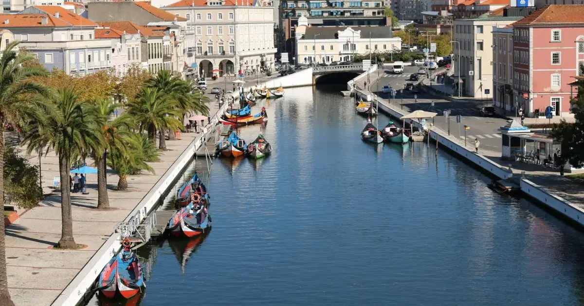 Aveiro proíbe motores a combustão nos canais da ria e passa a usar embarcações elétricas