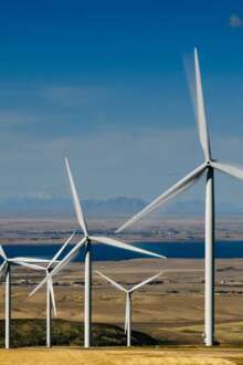 Portugal pode antecipar neutralidade climática em uma década e poupar milhões de... 21 abr. 2026, 08:00