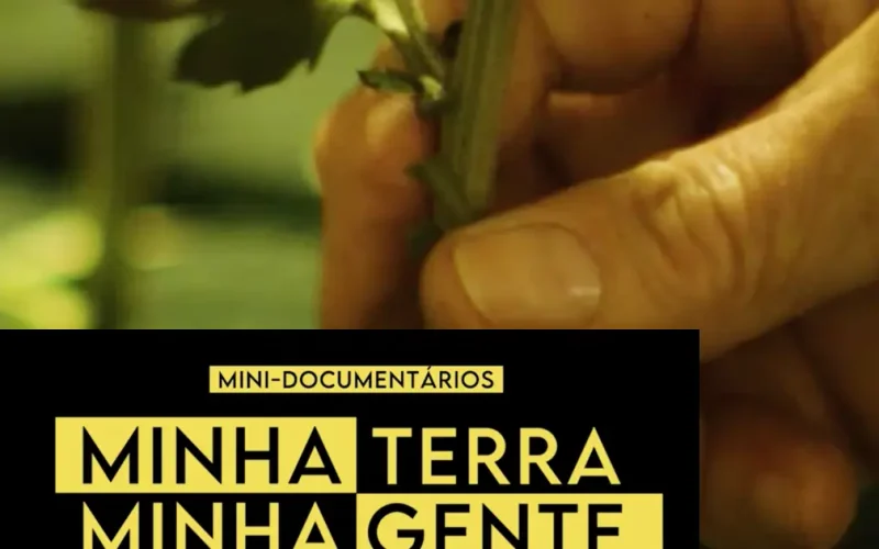 Rei das Flores