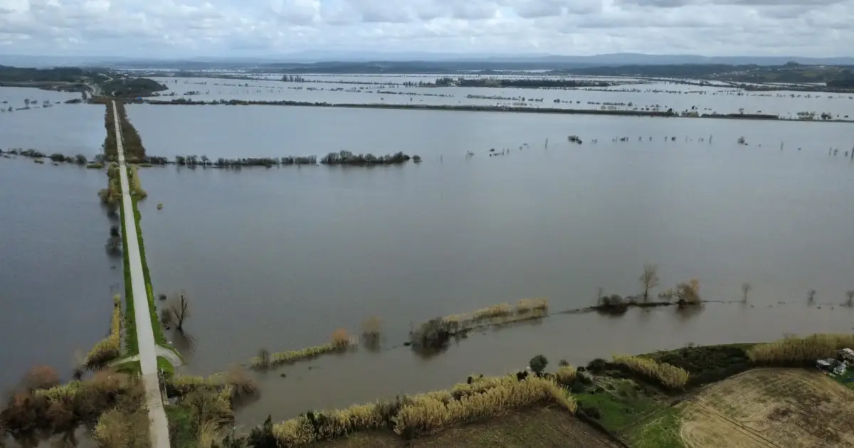 Reparação do canal de rega do Baixo Mondego arranca na próxima semana