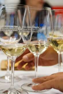 Douro TGV junta 80 produtores e debate mercados do vinho em ano de aniversário d... 22 mai. 2026, 09:58