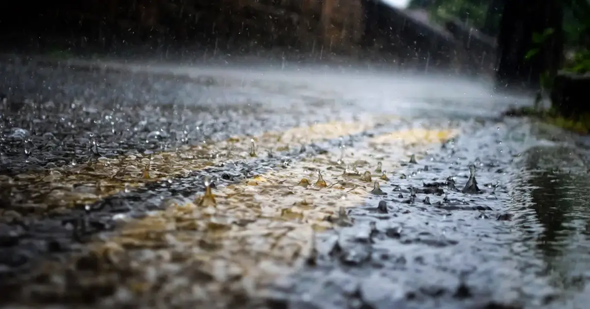 Dez distritos do Norte e Centro sob aviso amarelo devido à chuva e trovoada
