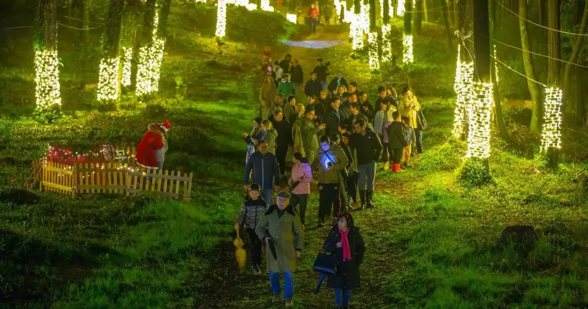 Ainda pode visitar a ‘Floresta Encantada’ que já atraiu 20 mil pessoas a Caminha
