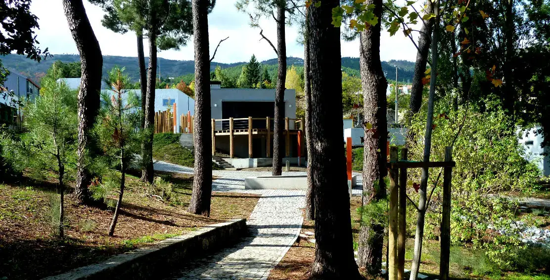 Jardim Botânico da Covilhã recebe intervenção devido ao risco de queda de árvores