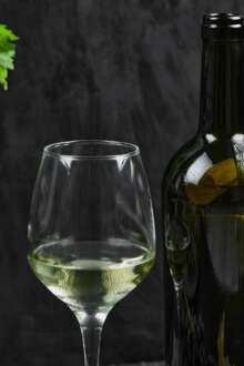 Associação quer municípios unidos para valorizar vinhos das Terras de Sicó 16 mar. 2026, 21:11