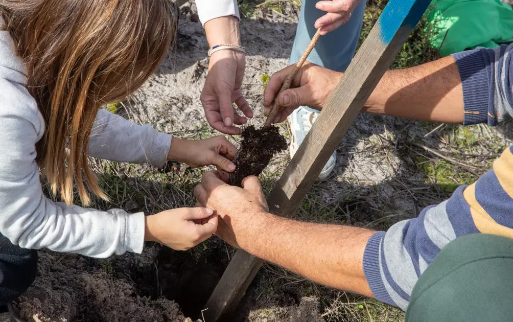 Seixal ganha 400 novas árvores para celebrar a floresta