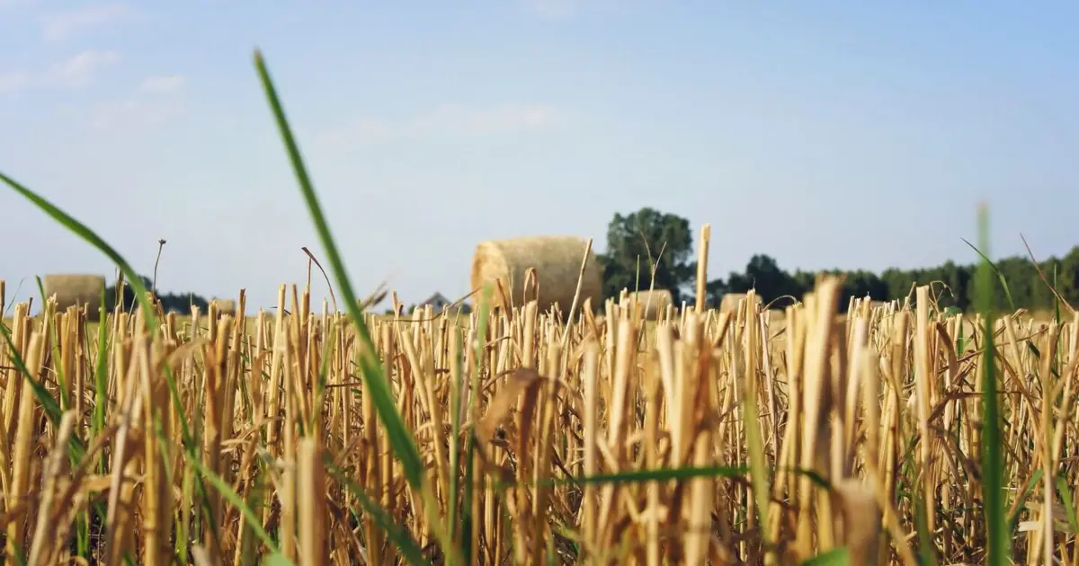 Confederação da Agricultura pede firmeza do primeiro-ministro na defesa do setor