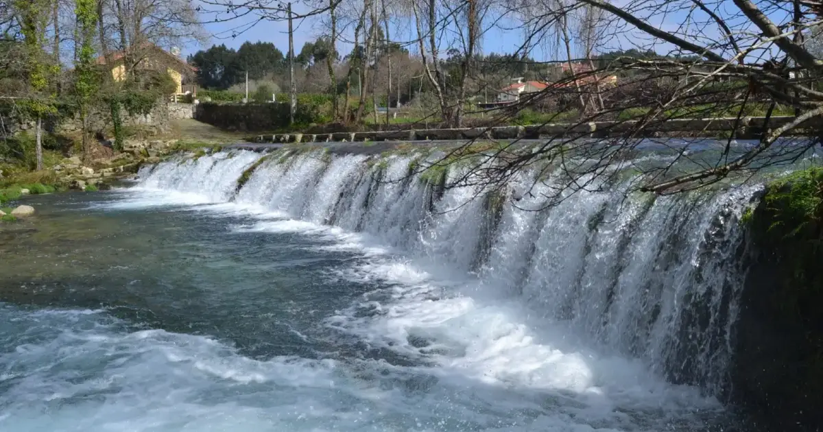 Rio Âncora ganha novo impulso de vida com a libertação de 25 mil pequenas trutas