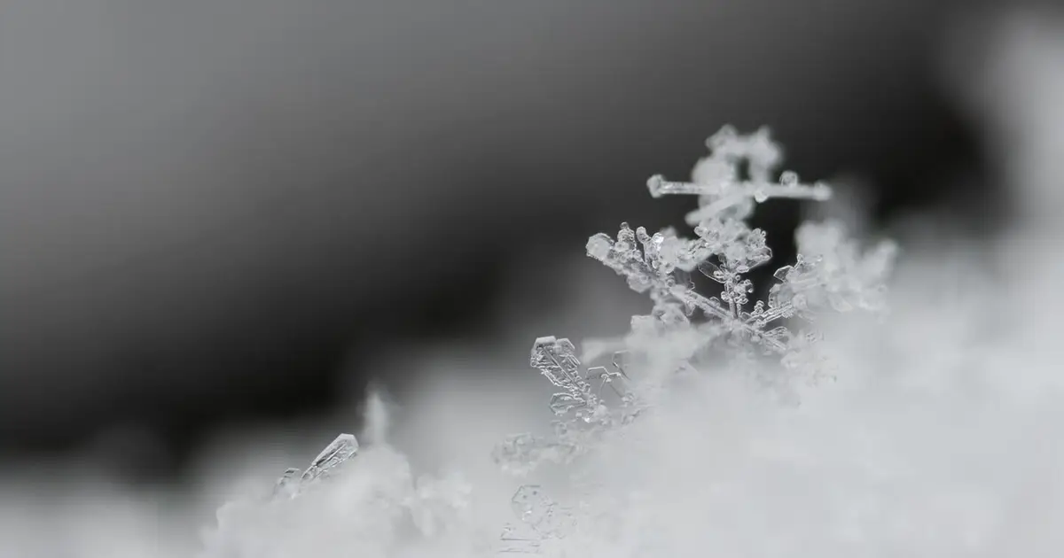 Queda de neve antecipa regresso a casa dos alunos de Montalegre